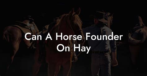 Can A Horse Founder On Hay - How To Own a Horse