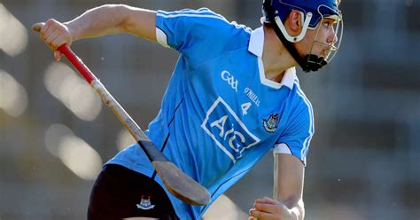 Dublin GAA: Here are our top hurling hotshots to watch this year - Dublin Live