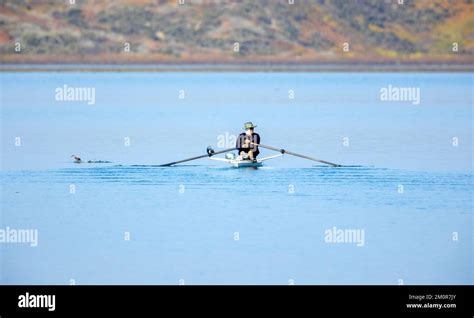 One man racing skull rowing boat hi-res stock photography and images - Alamy