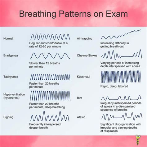 Medgeeks on Instagram: “Breathing pattern on exam @medgeeksinc #physicianassistsnt #palife # ...