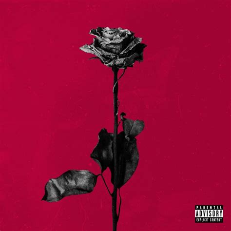 blackbear - Deadroses Lyrics and Tracklist | Genius