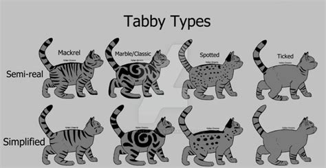 Tabby Types by Radiant-Laurels on DeviantArt | Warrior cat drawings ...