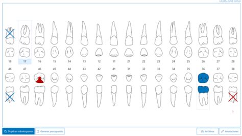 Modelos De Odontograma