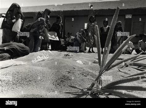 Women Bishnoi tribe Rajasthan India Stock Photo - Alamy