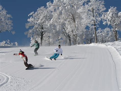 Japan Ski Season Dates for 2022 & 2023 | travel&co