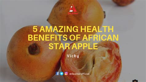 5 Amazing Health Benefits of African Star Apple (Agbalumo) | DeAltar - Hope Movement | Youth ...