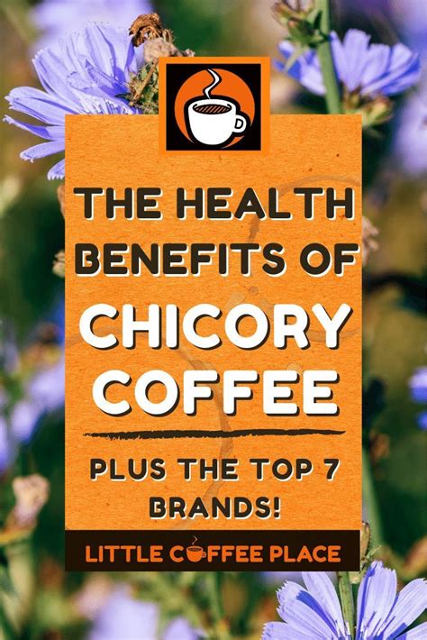 The Health Benefits Of Chicory Coffee! Top 7 Brands Review | Chicory ...