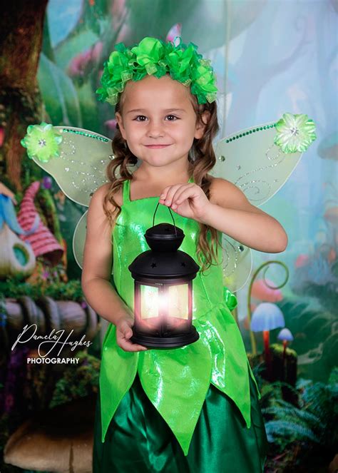 Tinkerbell Fairy Tinkerbell Costume Costume Tinkerbell Disney Outfit Tinkerbell Halloween ...