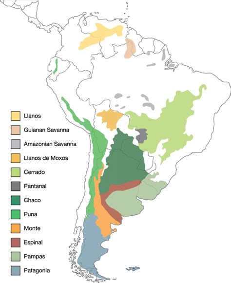 Grasslands Of The World Map - Maping Resources