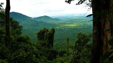 Cardamom Mountains Photograph by Robert Bociaga - Pixels