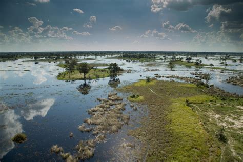 Okavango Delta Safari Guide - Ker & Downey® Africa