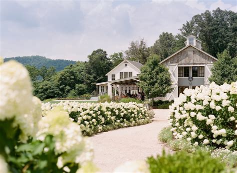 Pippin Hill Farm and Winery - Charlottesville Insider