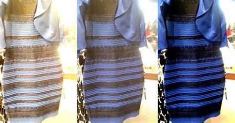 The Science of Why No One Agrees on the Color of This Dress | WIRED