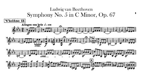 Beethoven Symphony No. 5【2nd Violin】 Op.67 C minor sheet music - YouTube