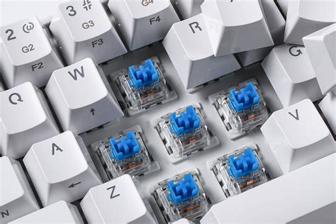 Redragon K530 Draconic 61 Key TKL Tactile Blue Switches Mechanical Keyboard – Redragonshop