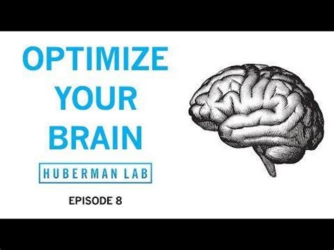 Stanford professor and neuroscientist, Andrew Huberman explains how to optimize your brain to be ...