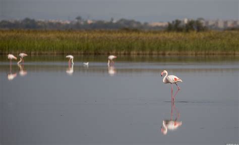 Camargue National Park - France - Blog about interesting places