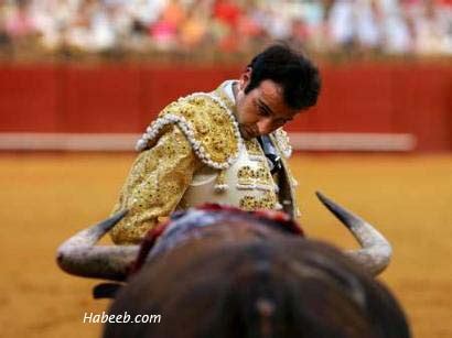 Matador Bullfight Photos