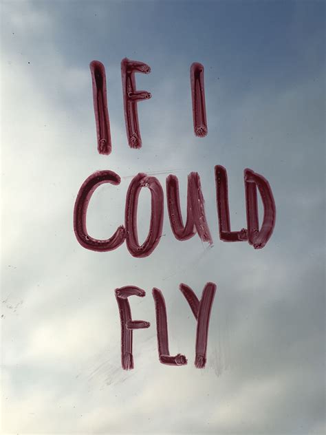 If I could fly.... One Direction