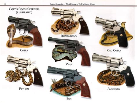 Seven Serpents - The History of Colt's Snake Guns, Illustrations - inkart