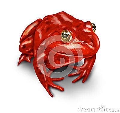 Red Frog Royalty Free Stock Photos - Image: 24092728