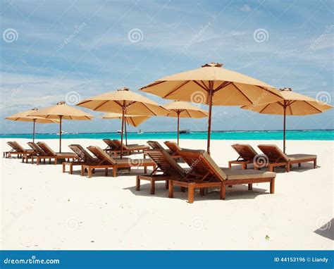 Relaxing in Sunny Maldives stock photo. Image of relax - 44153196