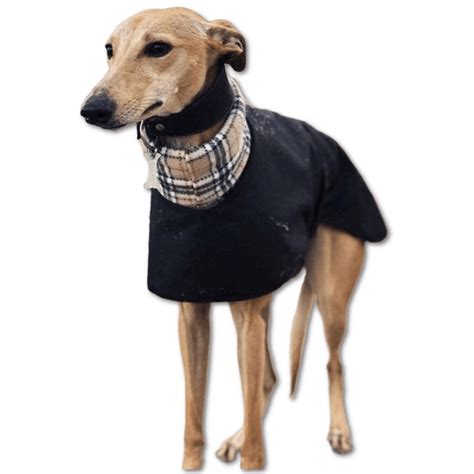 Whippet Coat for Winter - High-Collar Raincoat - Design your own – DryDogs.co.uk