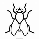 Coloring Mosca Fruta Mouche Mouches Fliege Disegni Ausmalbild  sketch template