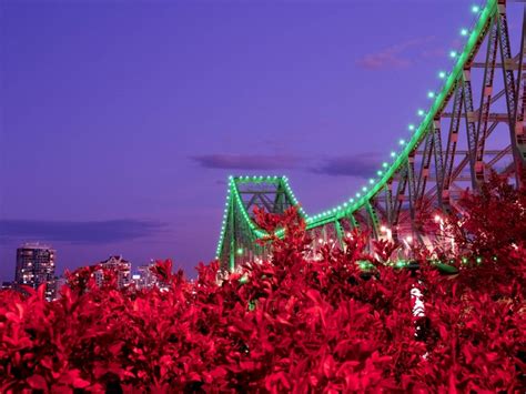 Bridge Night Backlight Bushes City 4k Wallpaper | TOPpng