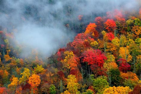 Tennessee's Newest State Park is Also Its Highest and Most Rugged