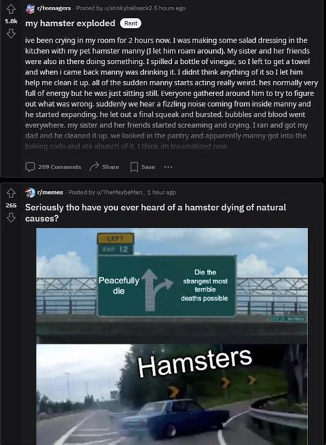 Nuclear hamster tactic | /r/memes | Know Your Meme