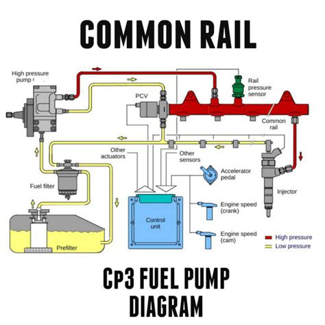 Lbz Duramax Fuel System Diagram - Headcontrolsystem