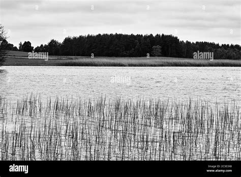 Beauty landscape lake, artistic look in black and white Stock Photo - Alamy