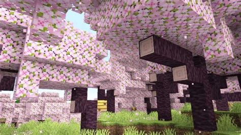 Minecraft update will bring beautiful new biome, with extra wood