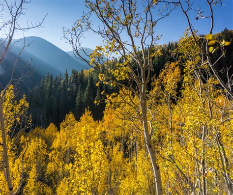 Fall Hikes, off the Beaten Path - Crazy About Colorado