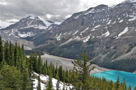 Spectacular Views of Peyto Glacier and Peyto Lake - The GateThe Gate