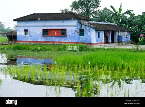 House , Heritage village life , Vaishali to Kesariya , Bihar , India Stock Photo: 95846459 - Alamy