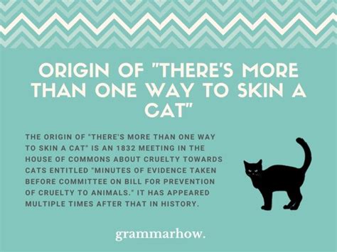 There's More Than One Way To Skin A Cat - Origin & Meaning (With Examples)