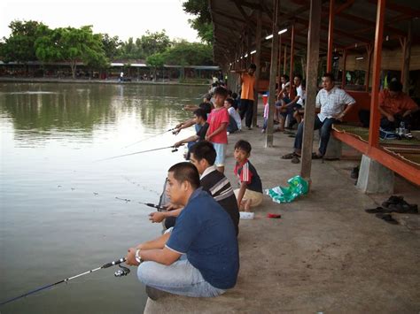 Trik Mancing Ikan Mas Di Kolam - Hobi Mancing