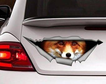 Funny Animal Bumper Stickers - 22 Pics – FunnyFoto - Page 2