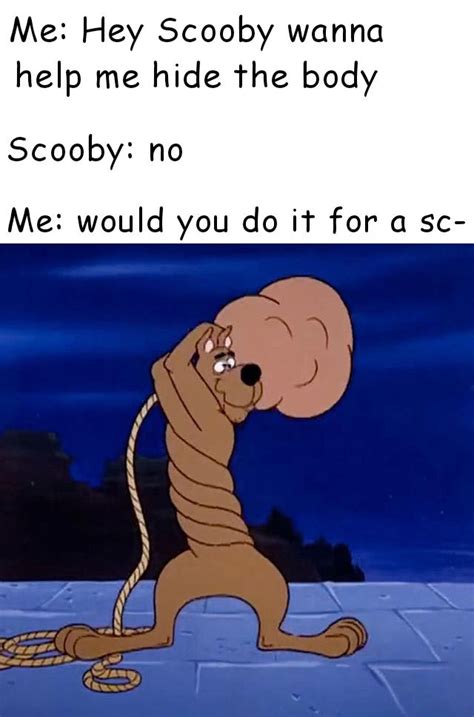 Scooby Dooby Doo! : r/memes