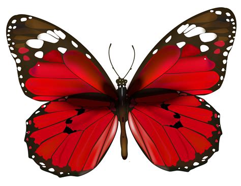 Clipart butterfly happy birthday, Picture #429216 clipart butterfly ...