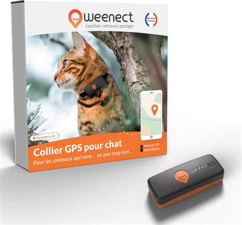 Collier GPS chat et caméra : découvrez la vie secrète de votre félin