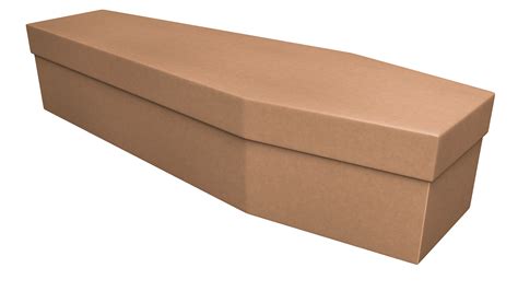 Cardboard Caskets - Complete Guide (Including Cost)