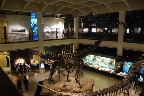 The Houston Museum of Natural Science - Bazar Travels