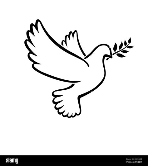 beautiful flying white peace dove pigeon bird outline with olive branch silhouette vector ...