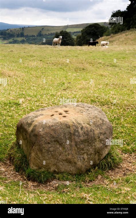 UK, England, Derbyshire, Eyam, Boundary Stone above Stoney Middleton, with holes for plague ...