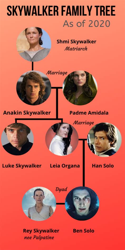 A Small Skywalker Family Tree post The Rise of Skywalker | Skywalker family tree, Star wars ...