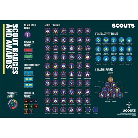 Badge Poster (Scouts) – Basingstoke Scout Shop