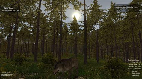 Wolf Simulator — Download